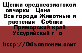 Щенки среднеазиатской овчарки › Цена ­ 20 000 - Все города Животные и растения » Собаки   . Приморский край,Уссурийский г. о. 